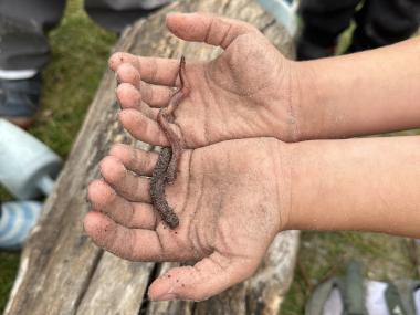 Vores pædagogiske læreplan